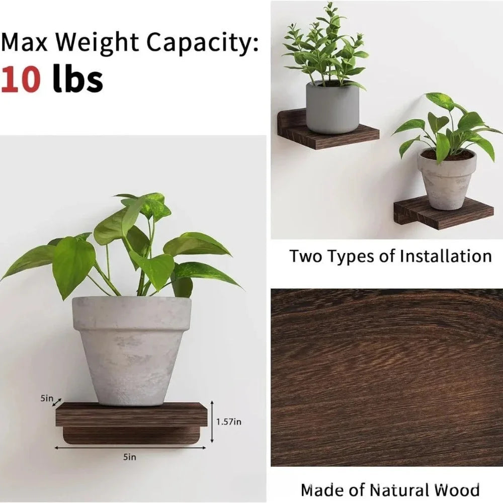 4-Pack Small Floating Shelves Household Decoration Furnishing Display Rack 5 Inch Potted Plant Sturdy Small-scale Storage Rack