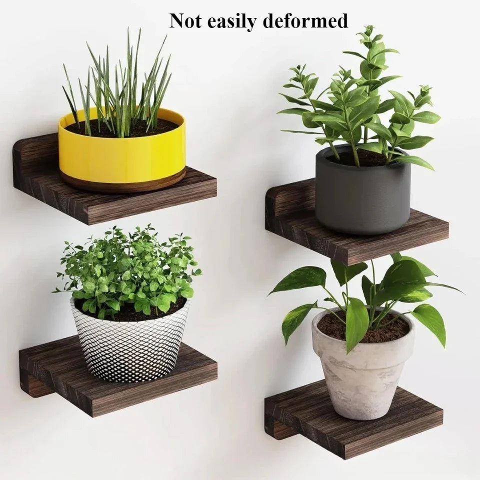 4-Pack Small Floating Shelves Household Decoration Furnishing Display Rack 5 Inch Potted Plant Sturdy Small-scale Storage Rack