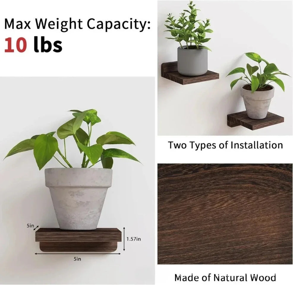4-Pack Small Floating Shelves Household Decoration Furnishing Display Rack 5 Inch Potted Plant Sturdy Small-scale Storage Rack